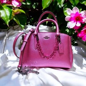 Coach Small Sage Carryall